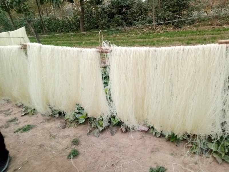 基地常年供地瓜粉条，口感好，质量保证，有需要的老板联系，