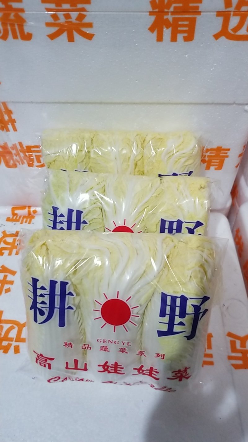 娃娃菜