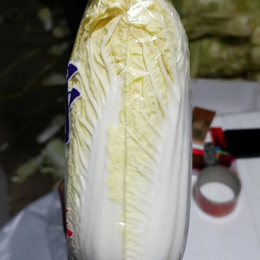 娃娃菜