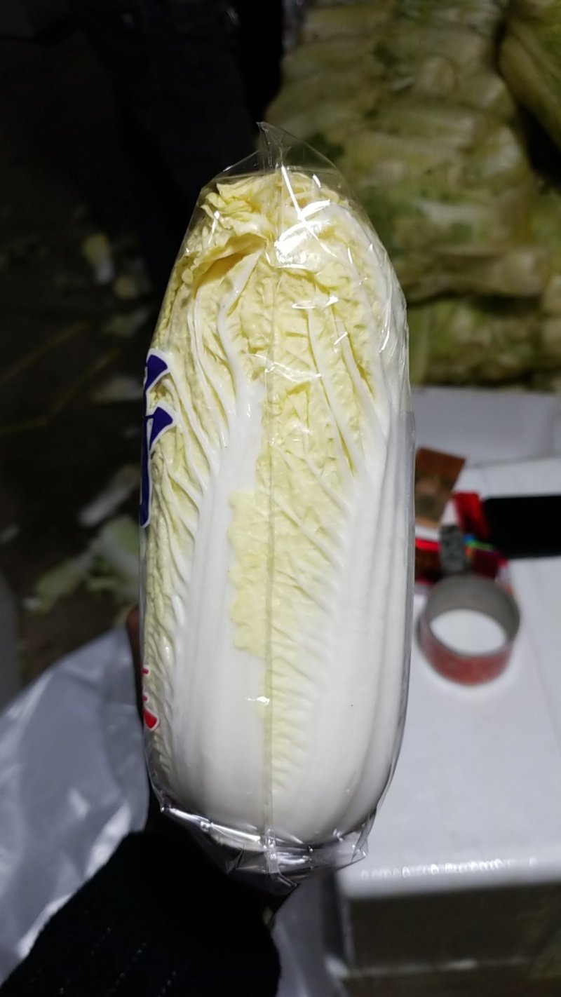 娃娃菜