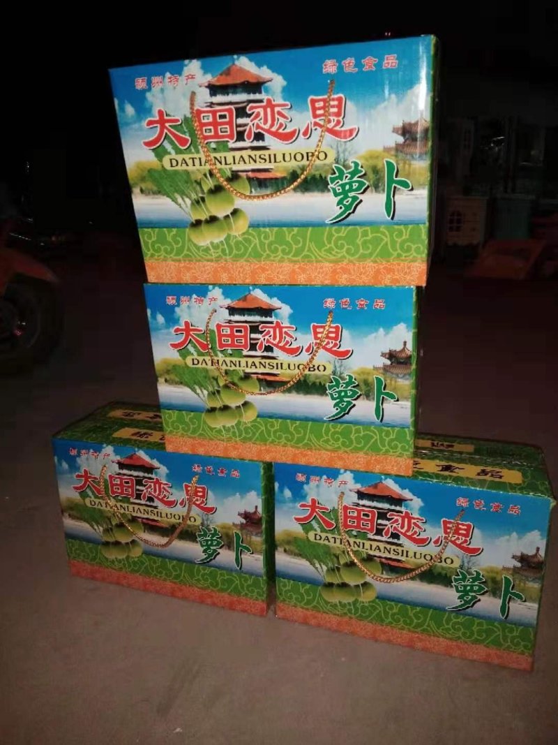 大田恋思萝卜