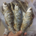 北江河鱼干