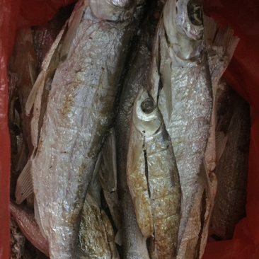 北江河鱼干