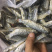 北江河鱼干