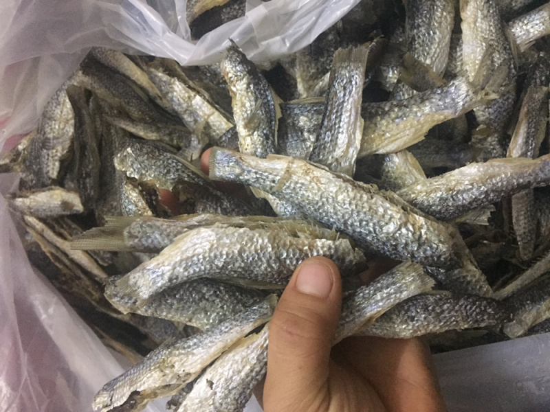 北江河鱼干