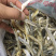 北江河鱼干