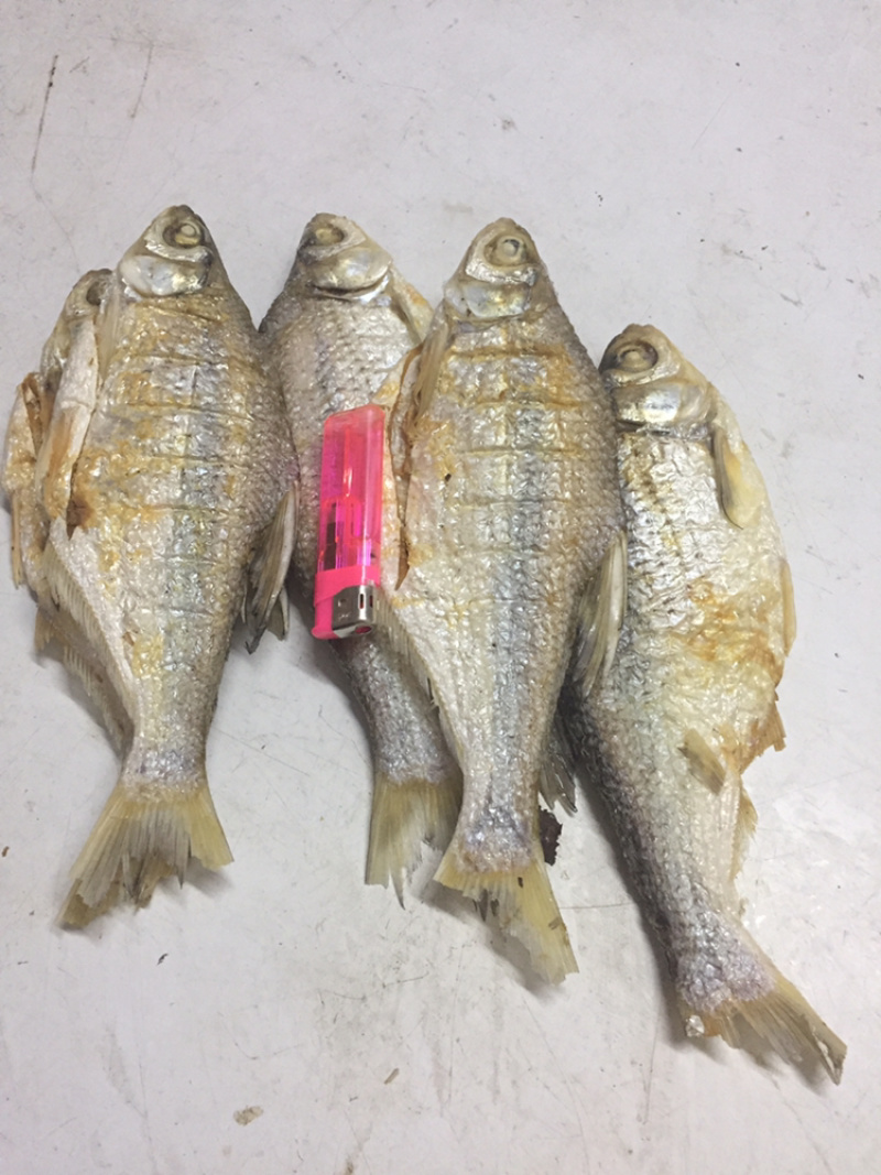 北江河鱼干