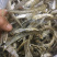 北江河鱼干
