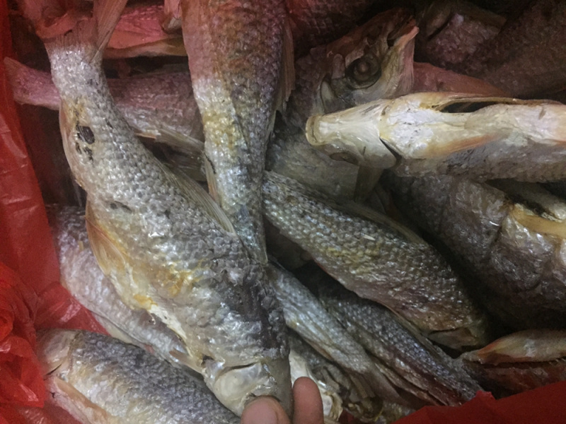 北江河鱼干