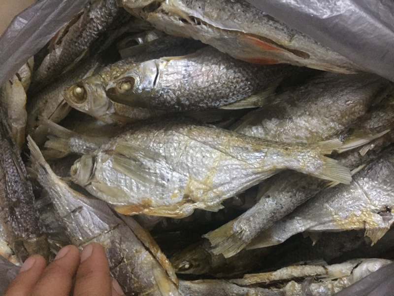 北江河鱼干