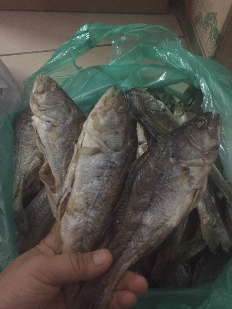北江河鱼干
