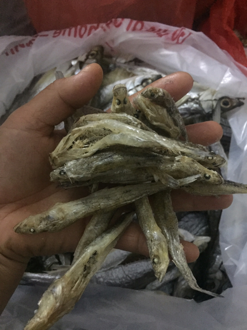 北江河鱼干