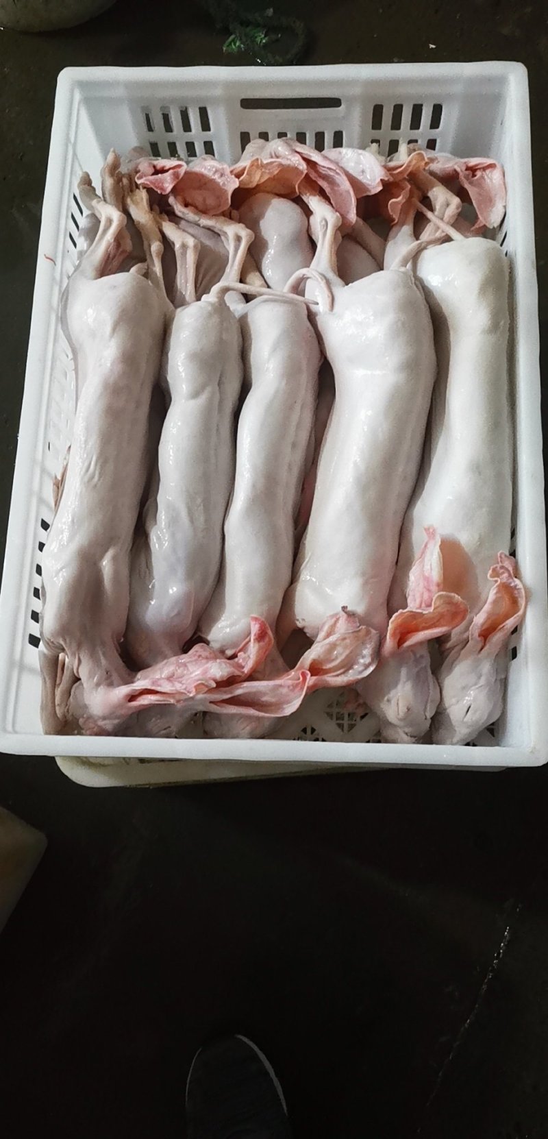 供应鲜新冰冻肉兔放血带皮带头去心肝肾肺兔肉
