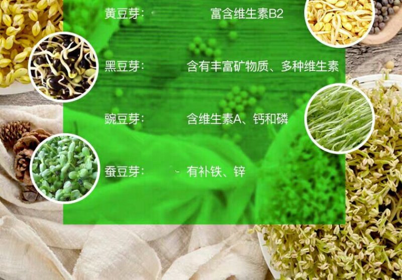 豆芽机家用全自动大容量发豆牙菜生绿豆芽黄豆芽花生芽罐盆神