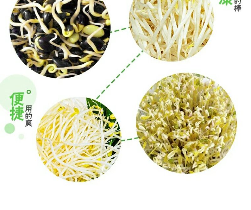 豆芽机家用全自动大容量发豆牙菜生绿豆芽黄豆芽花生芽罐盆神