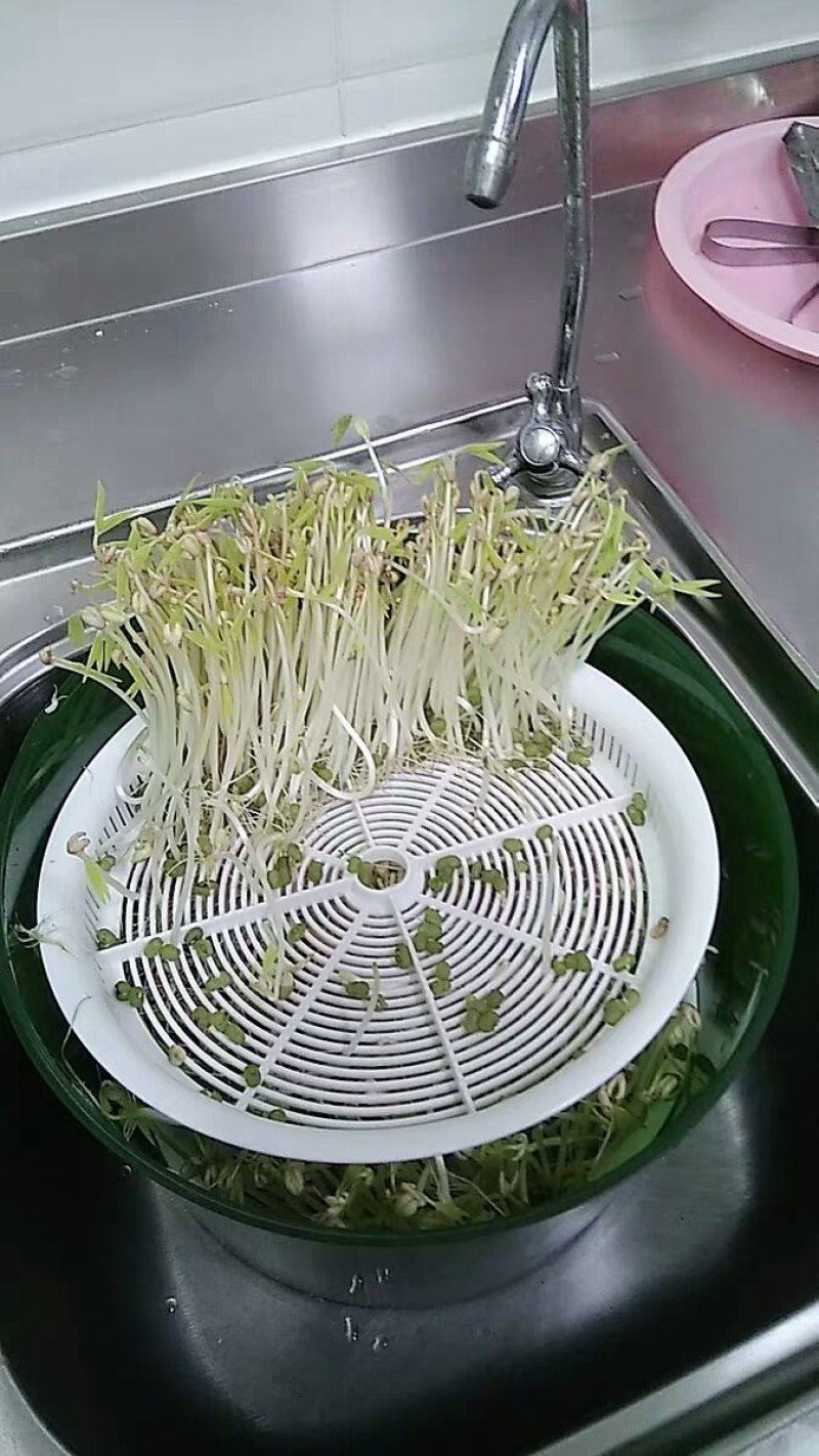 豆芽机家用全自动大容量发豆牙菜生绿豆芽黄豆芽花生芽罐盆神