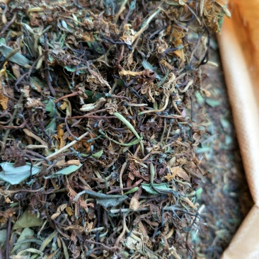 野生金银花