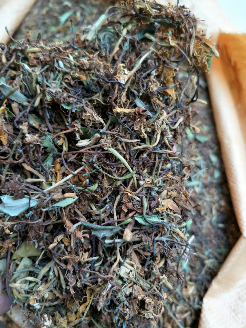 野生金银花