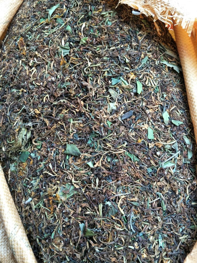 野生金银花