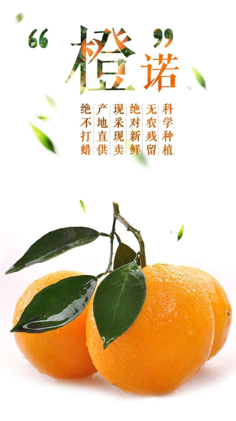 赣南脐橙20斤装
