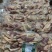 牛杂