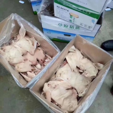 内蒙纯白羊头肉，羊脸肉，羊副，八成熟，质量好，价格合适