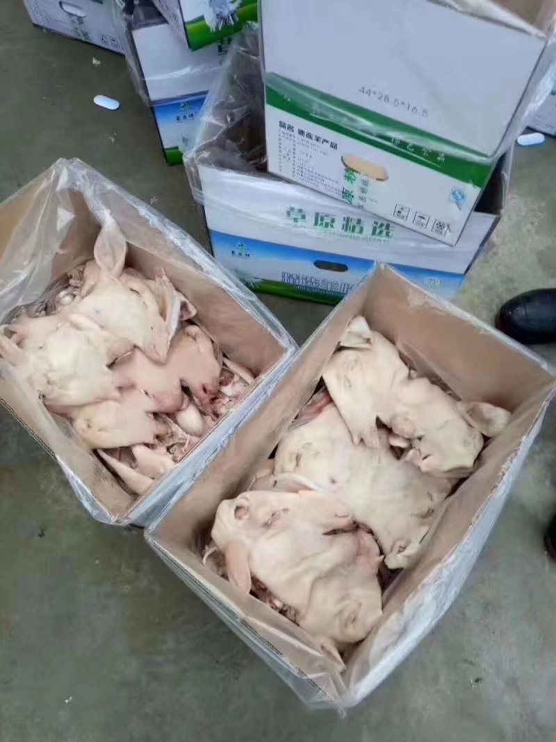内蒙纯白羊头肉，羊脸肉，羊副，八成熟，质量好，价格合适