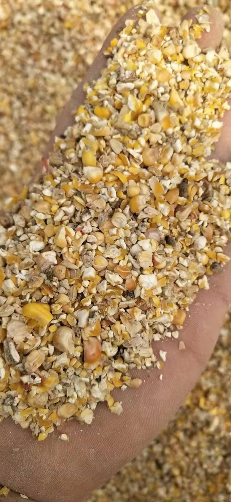 碎玉米.鹅料，碎麦，碎玉米，高粮，等付产品，有大形加工