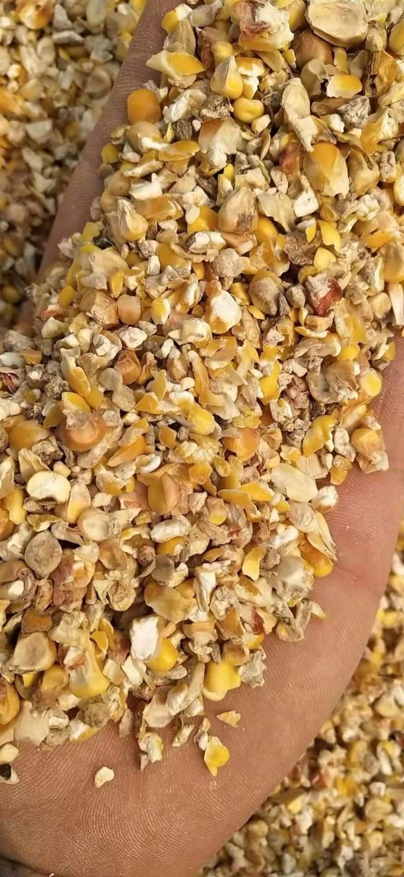 碎玉米.鹅料，碎麦，碎玉米，高粮，等付产品，有大形加工