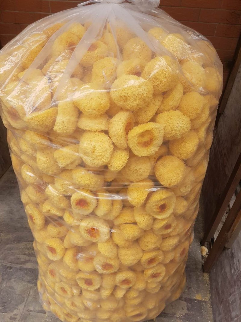 丑耳