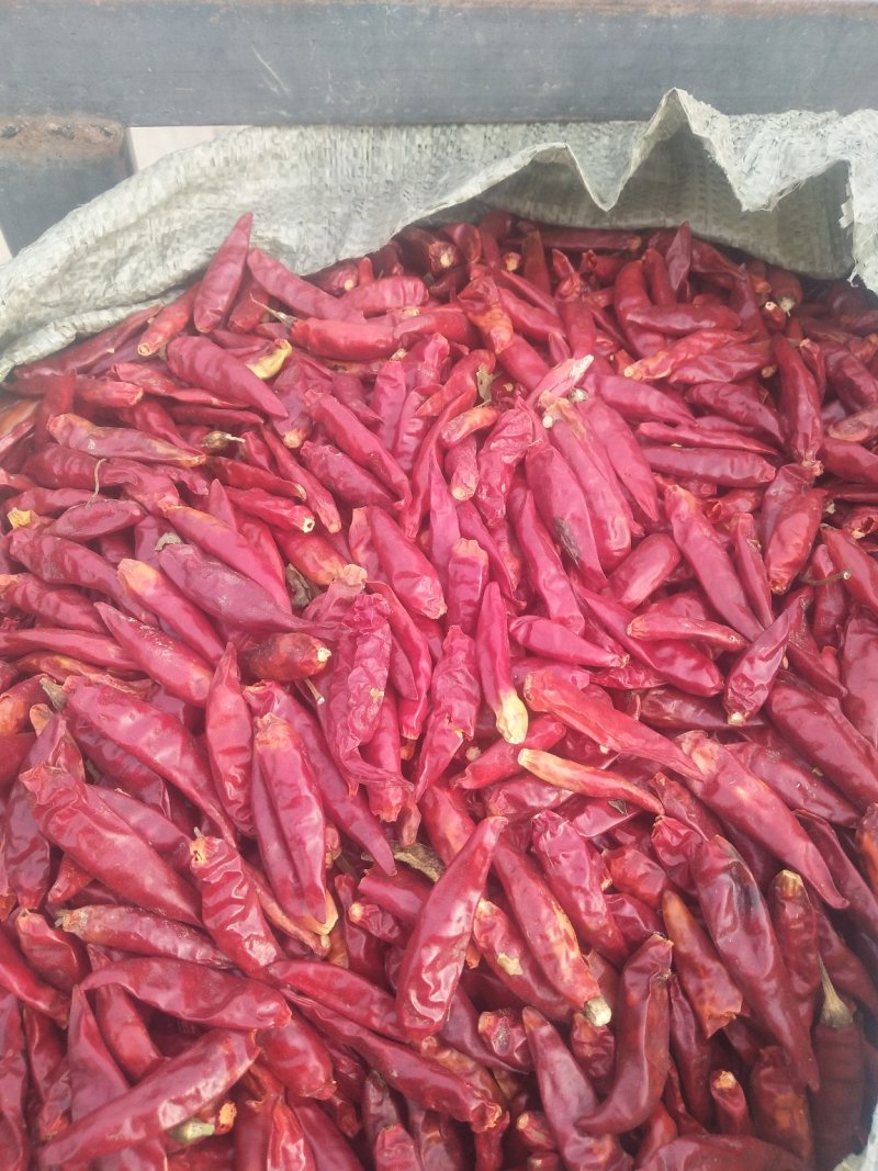 干辣椒，精品，通货，花皮，捡皮