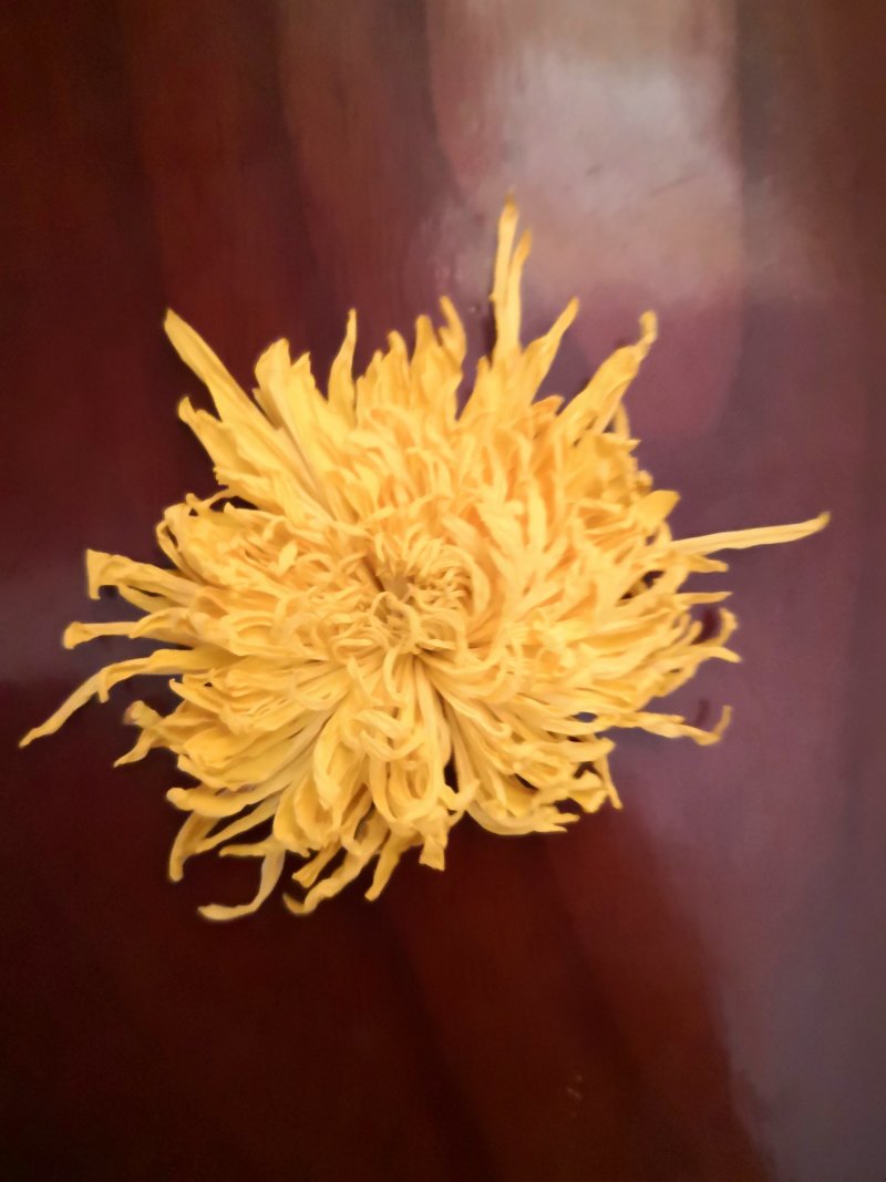 特级金丝皇干花