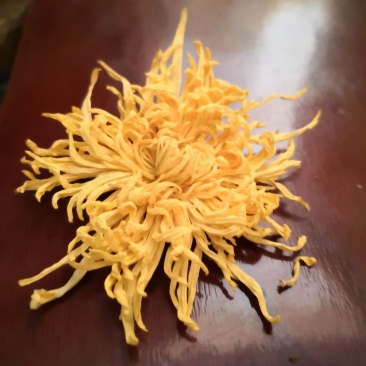 特级金丝皇干花
