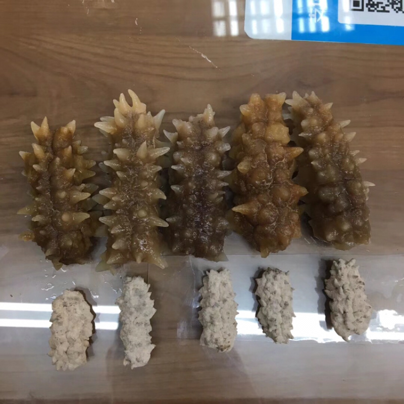 海参桑岛小刺参辽参白刺参黑刺参淡干货酒店食材干货批发