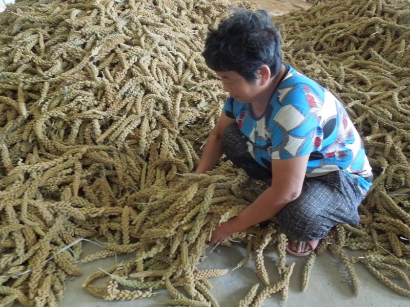 优子富硒糯谷子