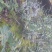 金秀大瑶山铁皮石斛