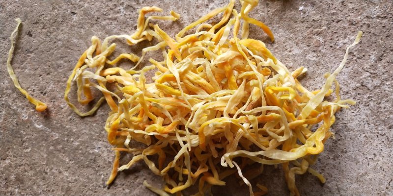 黄花菜，