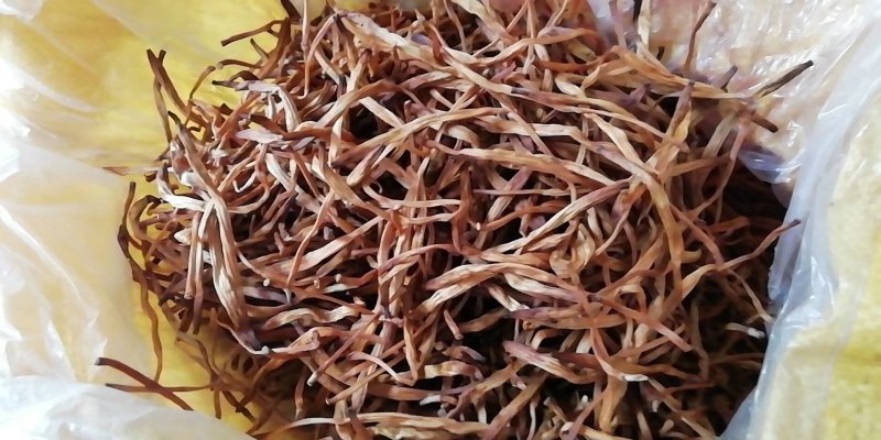 黄花菜