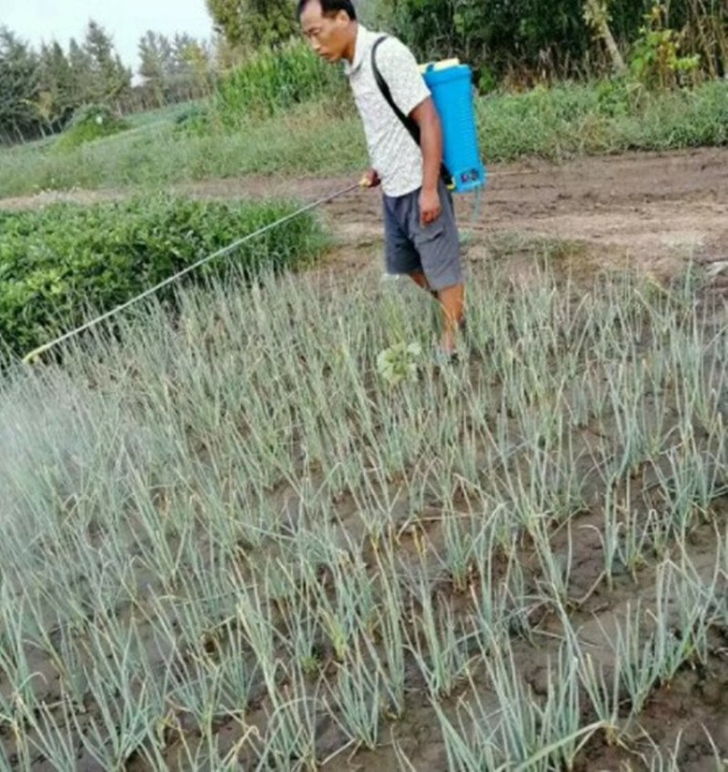 华生黑马阿维虫螨腈甘蔗玉米水稻花生大葱大蒜钻心虫杀虫剂