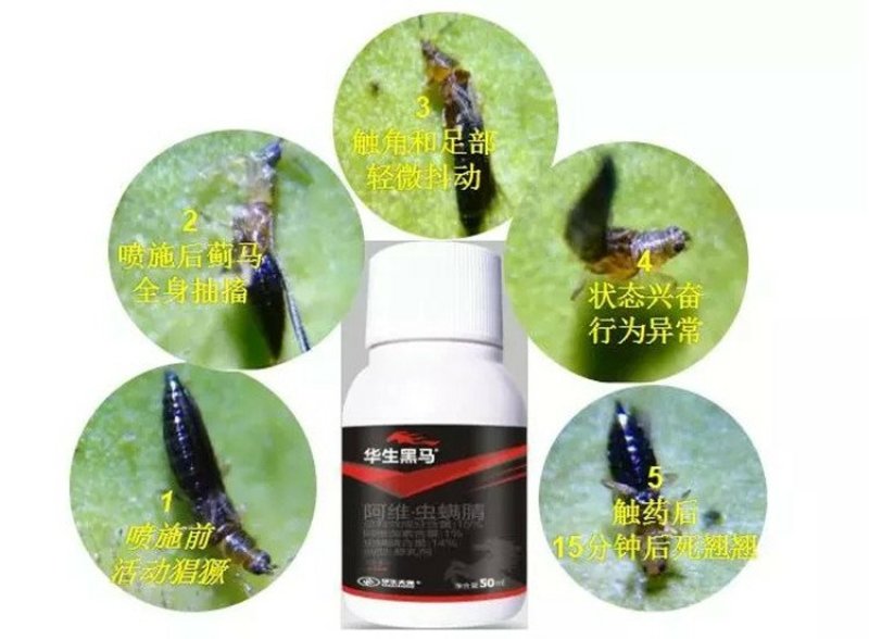 华生黑马阿维虫螨腈甘蔗玉米水稻花生大葱大蒜钻心虫杀虫剂