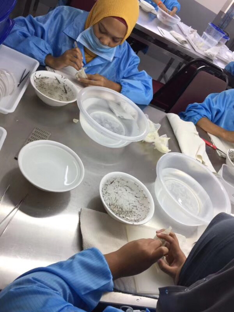 燕窝朔源码燕盏干挑密盏溯源码燕窝印尼正品孕妇滋补药店专用