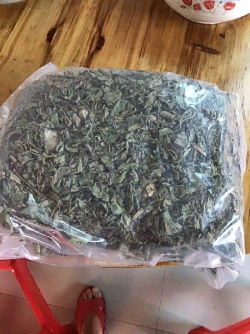 小蓟草根小计七七牙刺小蓟111农家初选