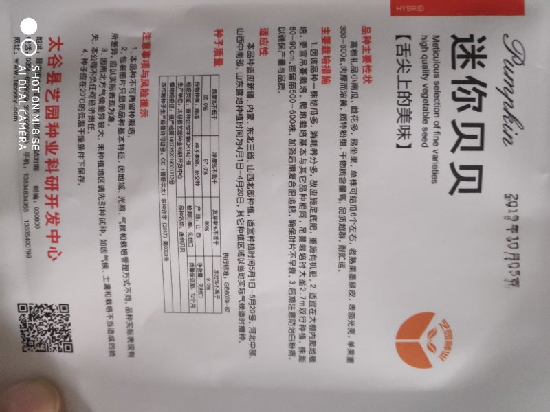 迷你贝贝南瓜种子高档礼品小南瓜