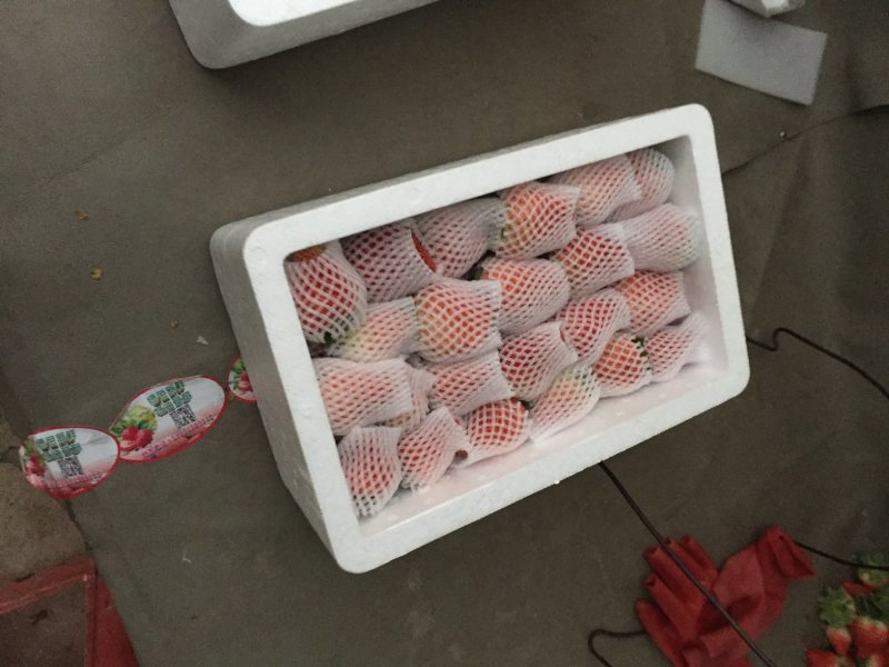 红颜，法兰地，宁玉陆续上市