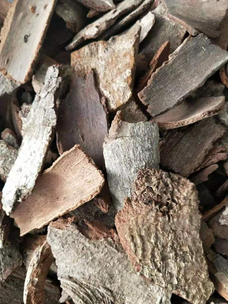 地枫皮【包邮】三斤起发货可批量可零售量大从优