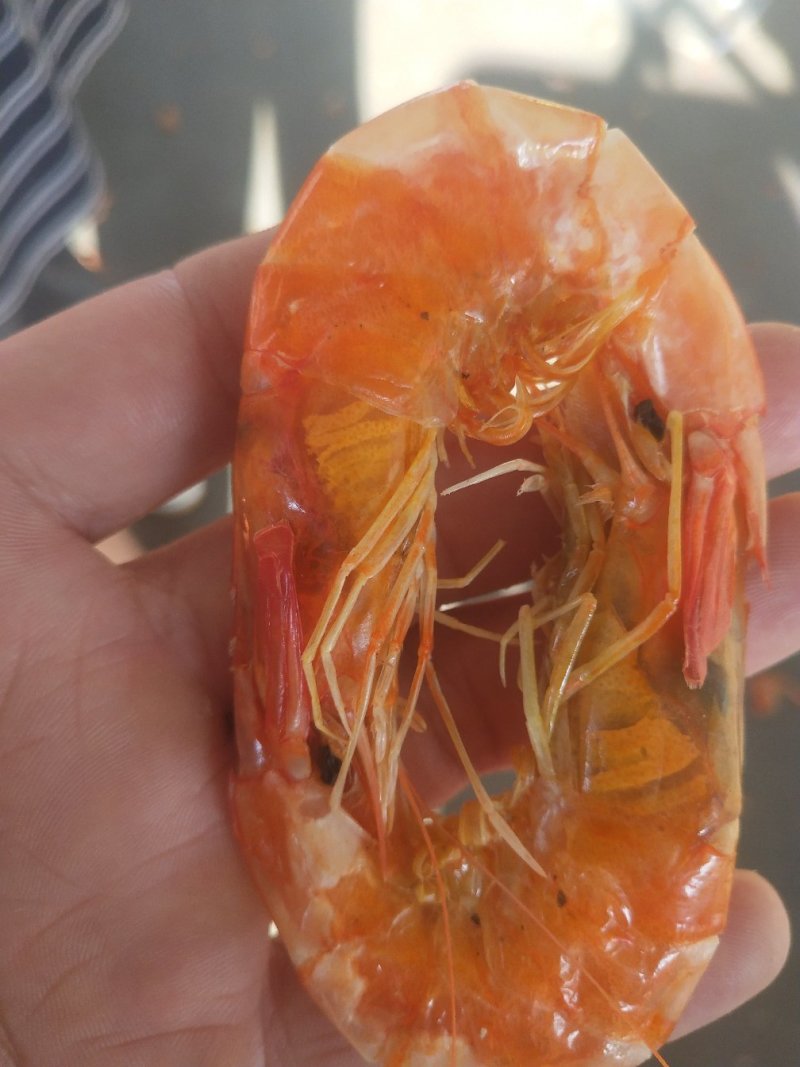 优质磷虾，无盐虾皮
