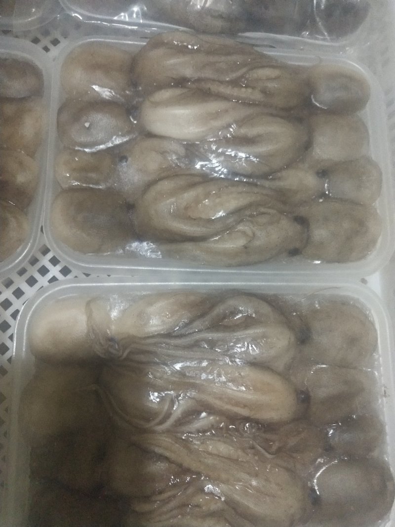 优质磷虾，无盐虾皮