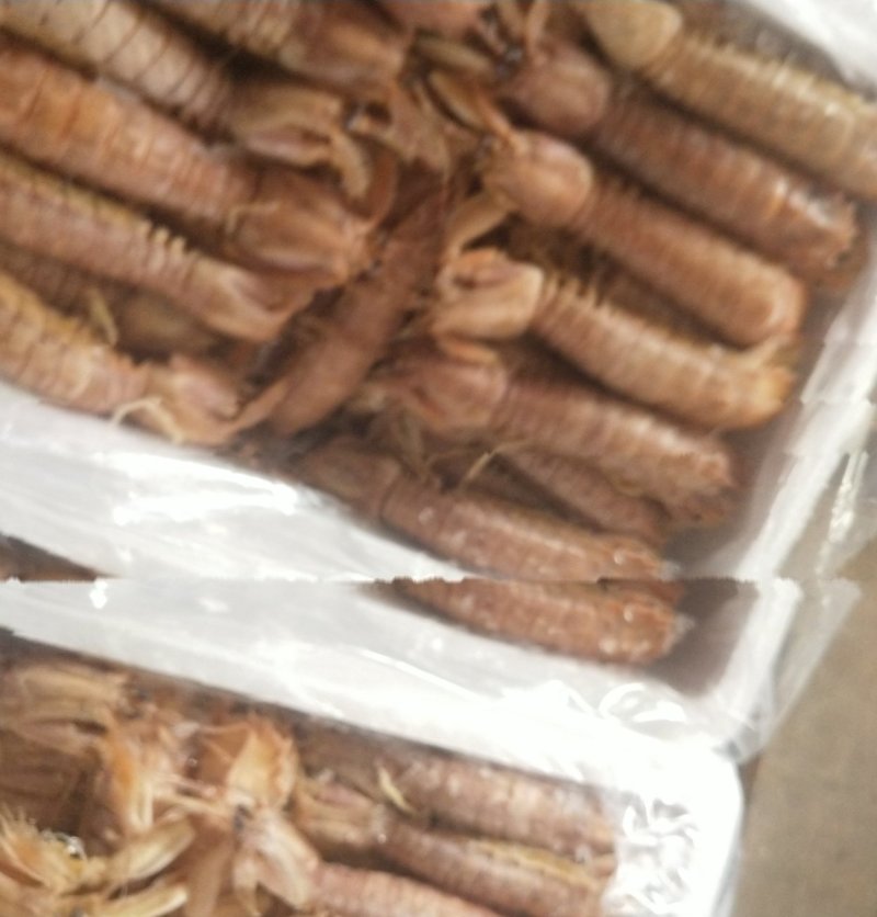 熟冻皮皮虾，