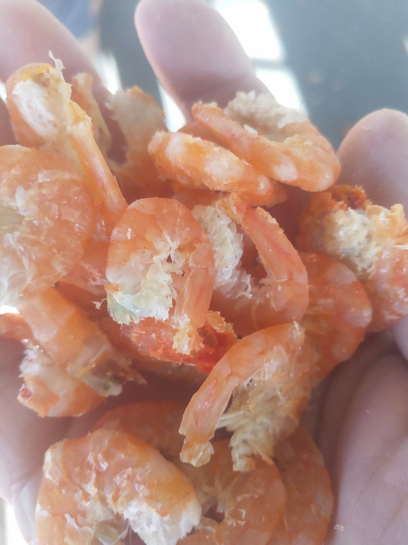 熟冻皮皮虾，