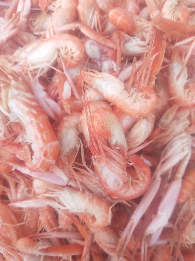 熟冻皮皮虾，
